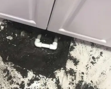 双阳查漏水哪家好